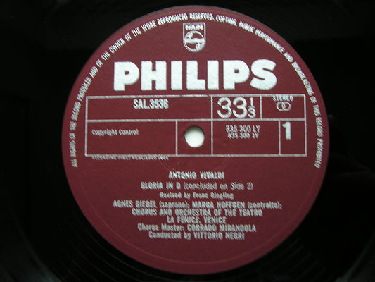 VIVALDI: GLORIA in D / SALVE REGINA in C      GIEBEL / HOFFGEN / LA FENICE ORCHESTRA / NEGRI     SAL 3536