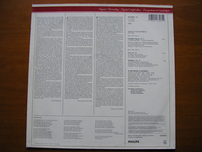 SCHOENBERG: VERKLARTE NACHT / TRIO / PHANTASY      SCHOENBERG ENSEMBLE    416 306