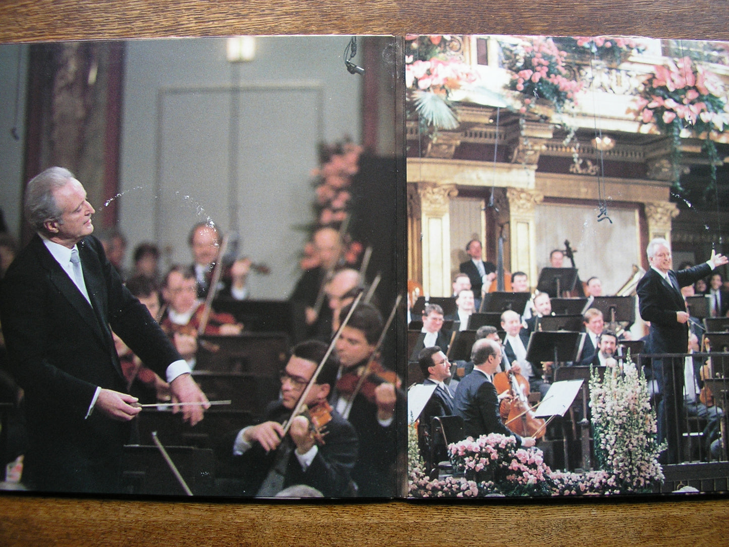 CARLOS KLEIBER CONDUCTS NEW YEAR'S CONCERT 1989   KLEIBER / VIENNA PHILHARMONIC   M2X 45564